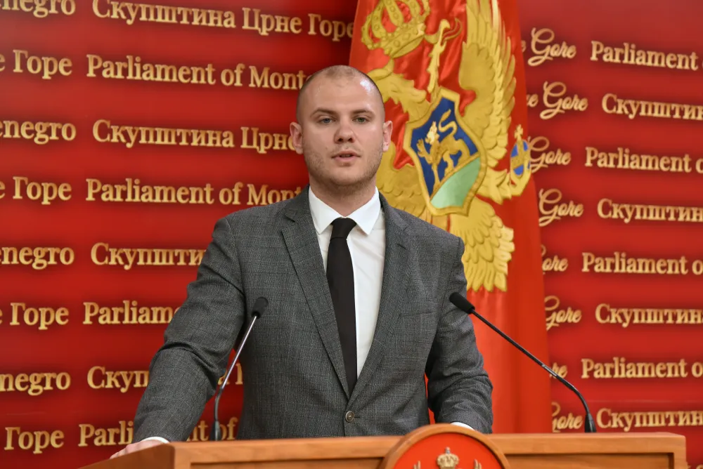 Vučinić o pripajanju NSD: Birali smo između političkog vegetitranja i pripajanja srodnoj partiji