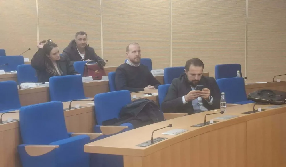 Članovi odbora za izbor i imenovanje 