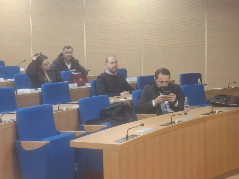 Članovi odbora za izbor i imenovanje 