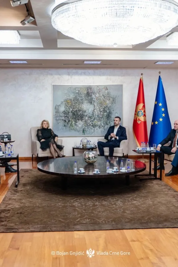 Spajić otvorio konsultacije o izboru sudija Ustavnog suda: Crna Gora se već pona&scaron;a kao da je članica EU