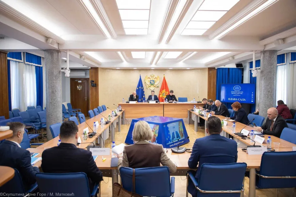 Odbor za ekonomiju plenumu "isporučio" osam zakona na glasanje