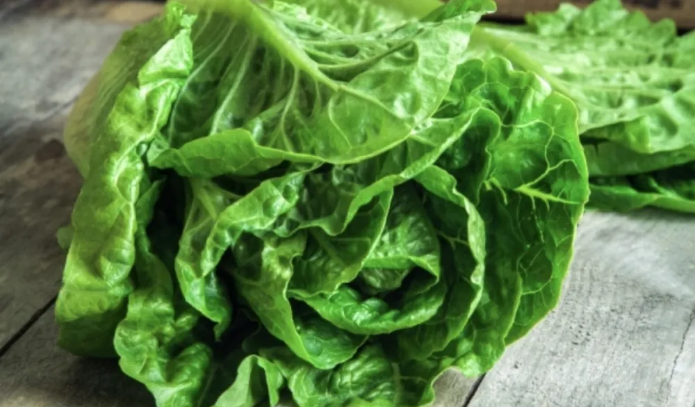 Zelena salata može da na&scaron;kodi ako bolujete od ovih bolesti