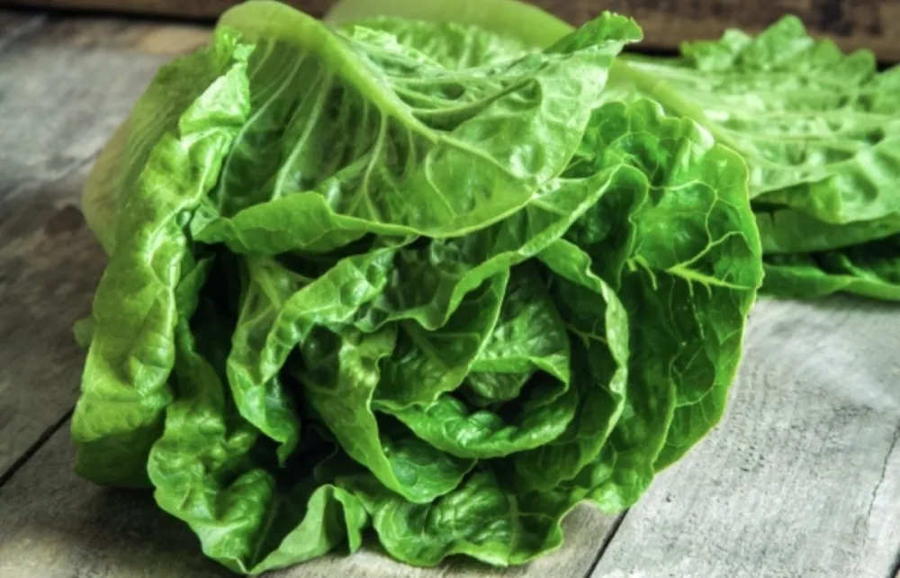 Zelena salata može da na&scaron;kodi ako bolujete od ovih bolesti