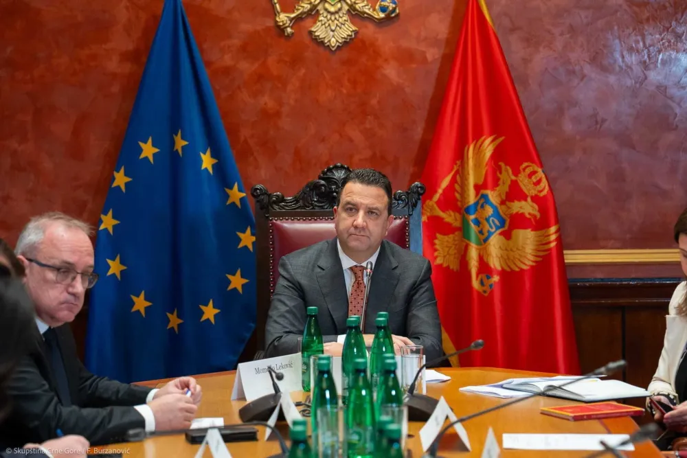 I DPS hoće istragu o vjetroelektrani "Možura"