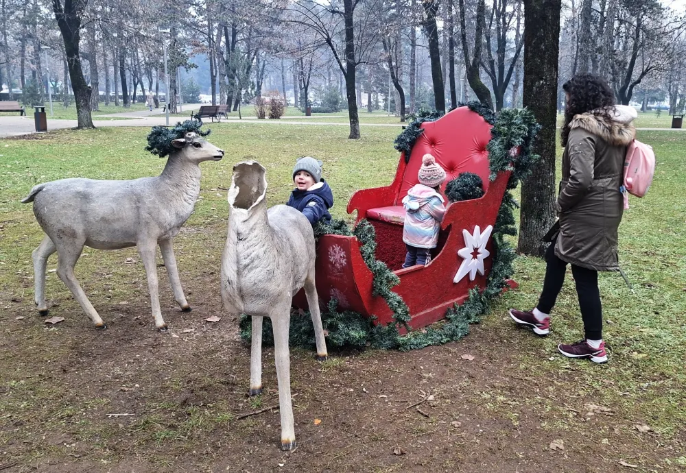 Vandali uni&scaron;tili novogodi&scaron;nje ukrase u gradskom parku u Nik&scaron;iću