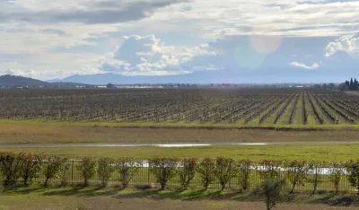 "Plantaže" u minusu 45 miliona eura