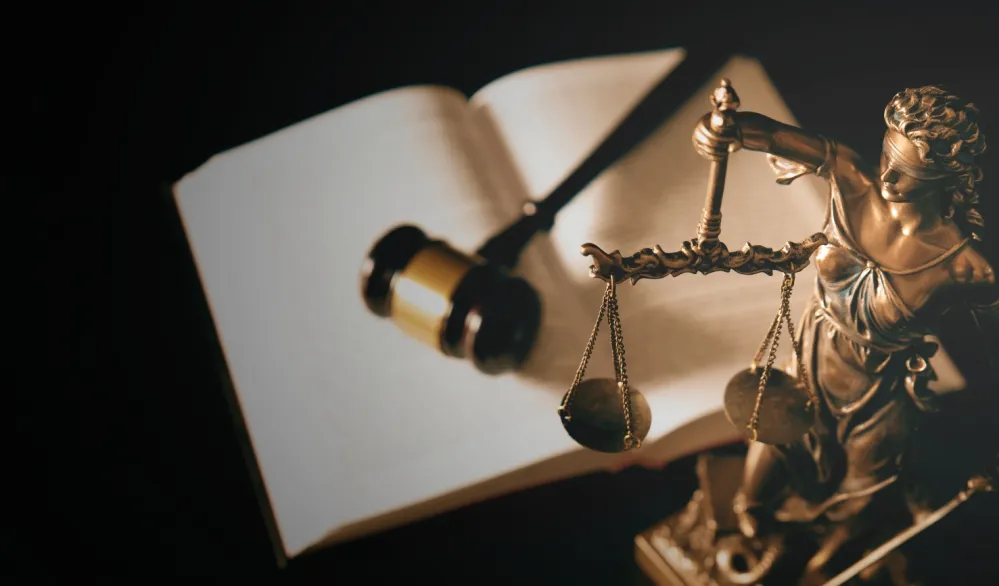 Sagovornici "Dana" o preklapanju nadležnosti pojedinih resora: Bez zakona o Vladi ne zna se ko &scaron;ta radi