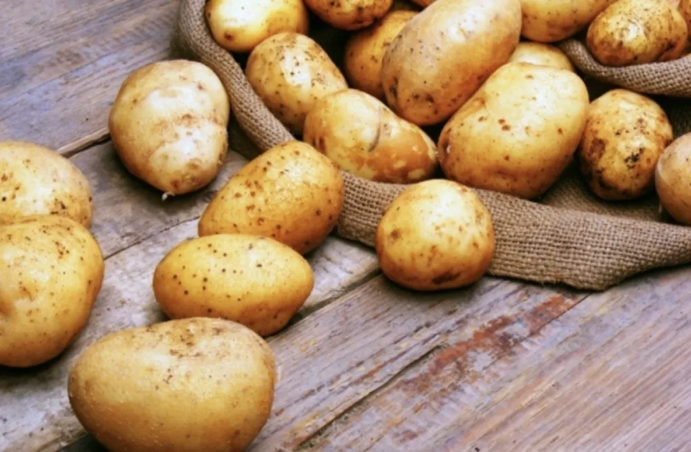 Da li ste znali da va&scaron;e omiljeno povrcće podiže &scaron;ećer u krvi brže od čokolade?&nbsp;