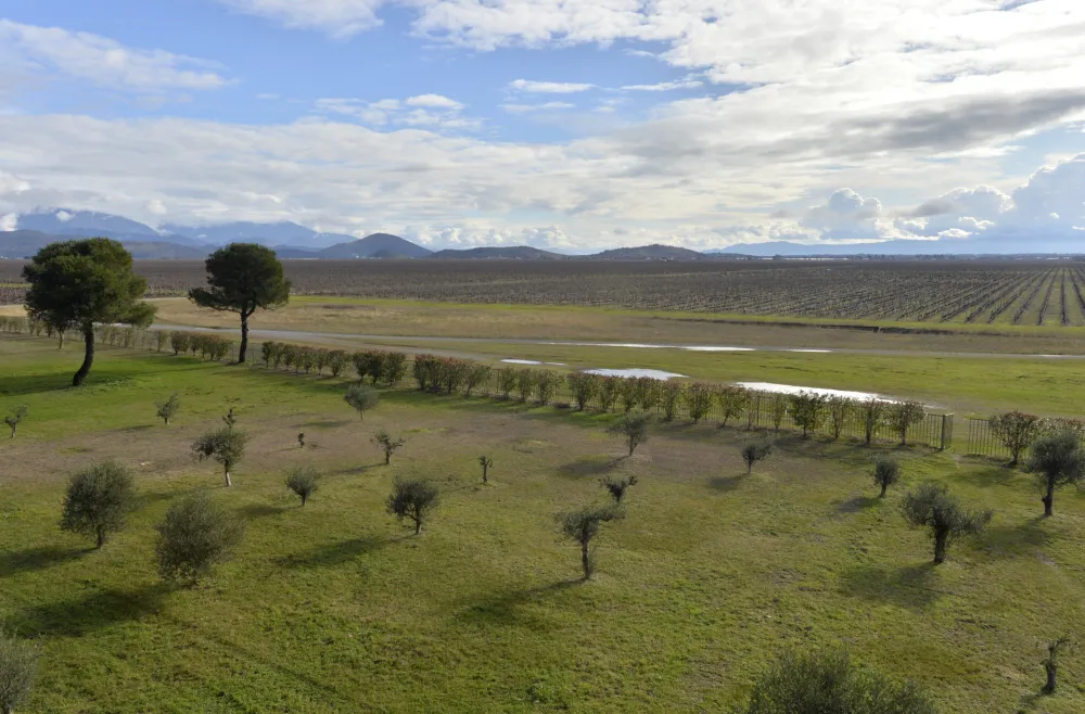 ​Menadžment "Plantaža": Godinu zavr&scaron;avamo sa milionskim profitom