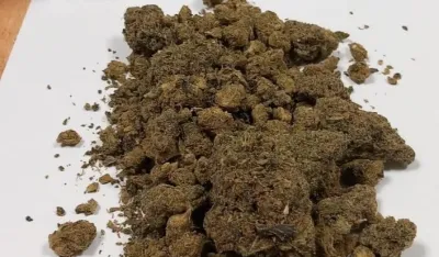 Na Debelom Brijegu hap&scaron;enje zbog marihuane