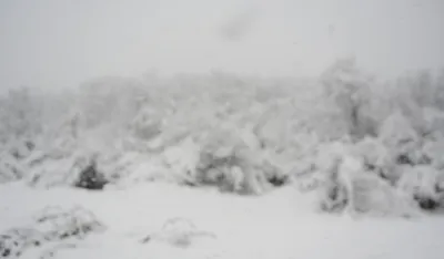 (VIDEO) Ovo je trenutno najhladnije naseljeno mjesto na Zemlji, izmjereno 56 stepeni u minusu