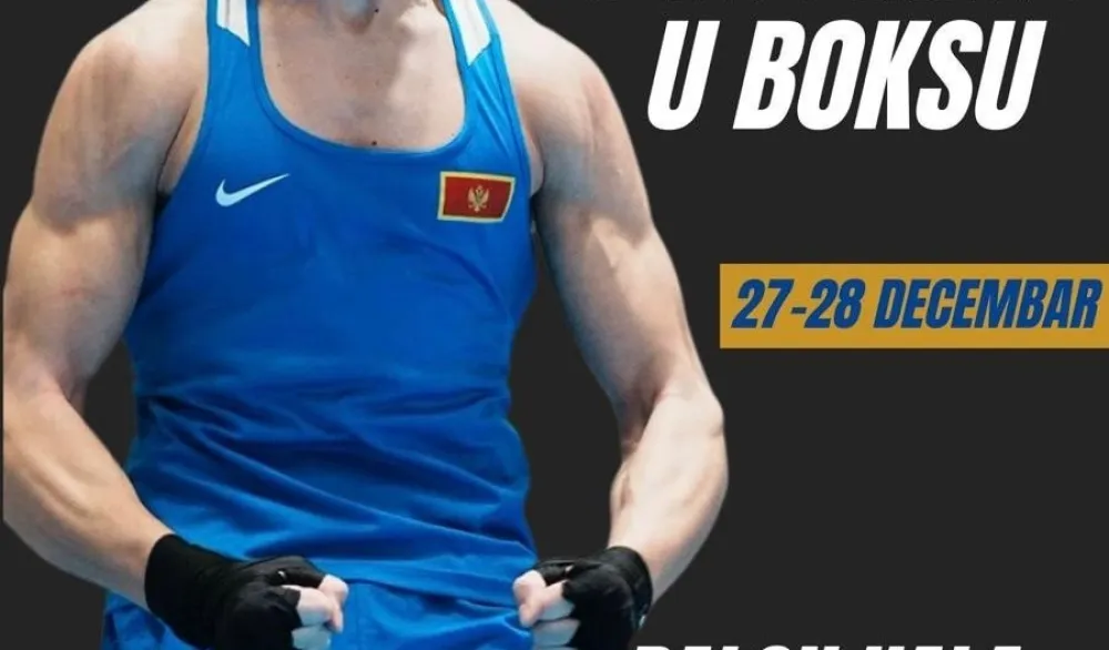 Svi najbolji u ringu