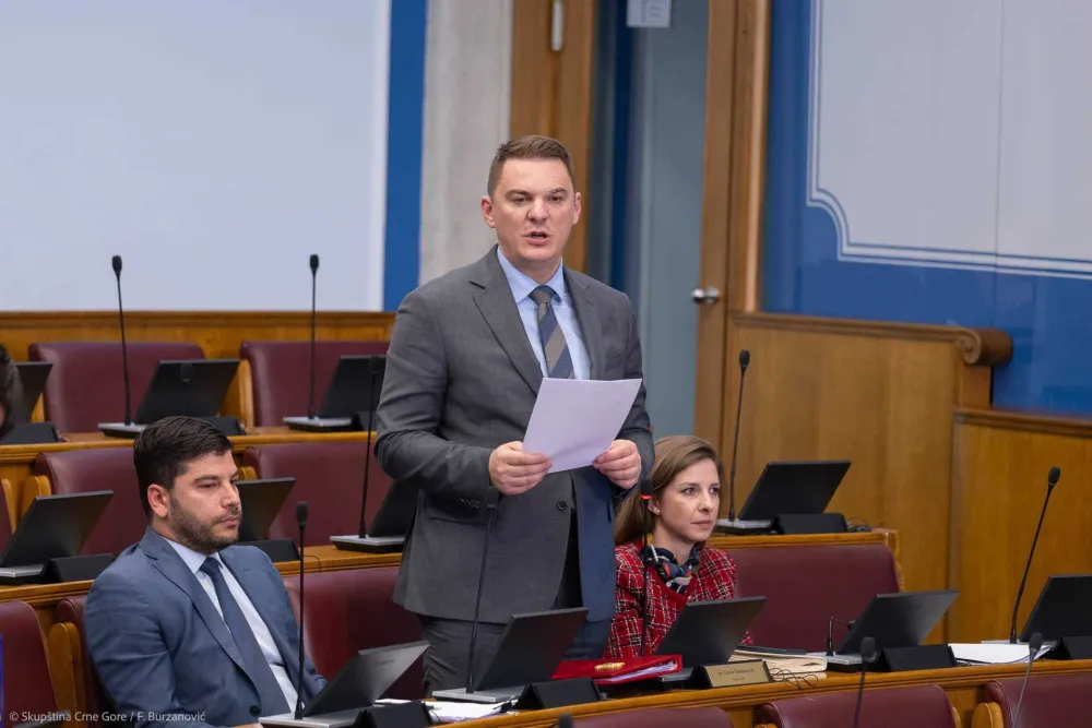 Skup&scaron;tina zavr&scaron;ila raspravu o setu energetskih zakona