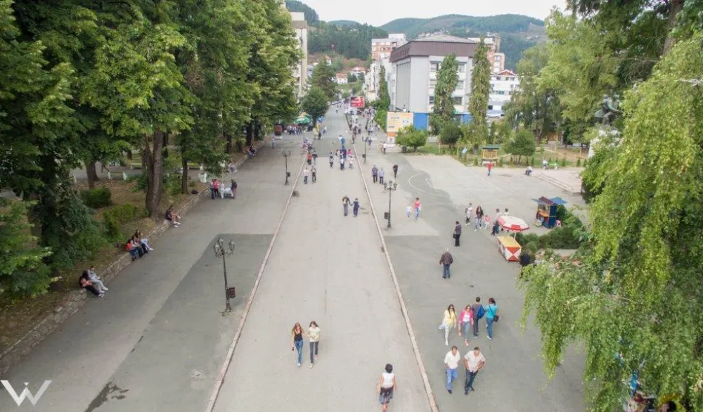 Bo&scaron;njaci "vagaju" o vlasti u Bijelom Polju