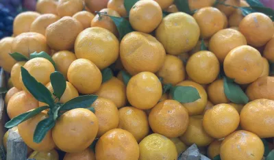 Mandarine od euro do 1,50 eura