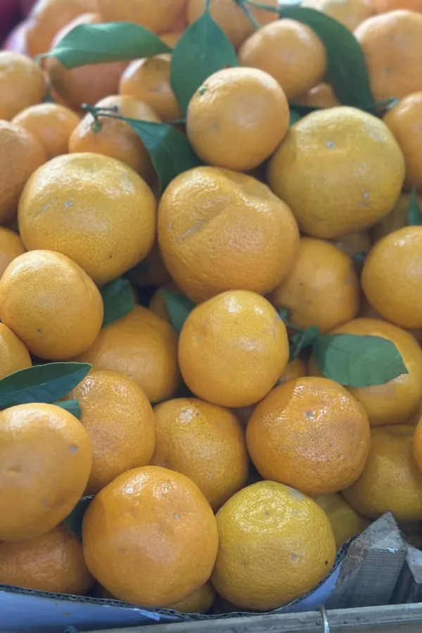 Mandarine od euro do 1,50 eura