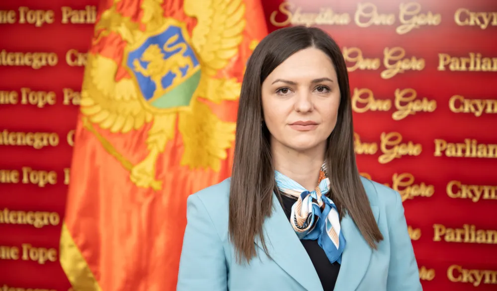 Andrić: Fingirana kriza u Bijelom Polju, cilj jačanje pregovaračke pozicije BS u odnosu na DPS