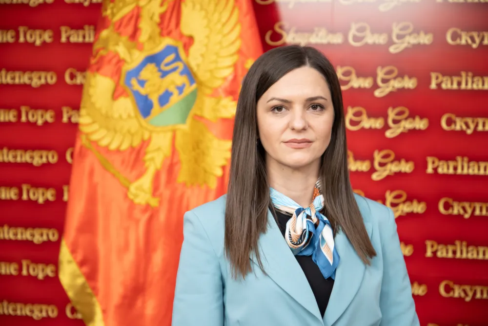 Andrić: Fingirana kriza u Bijelom Polju, cilj jačanje pregovaračke pozicije BS u odnosu na DPS