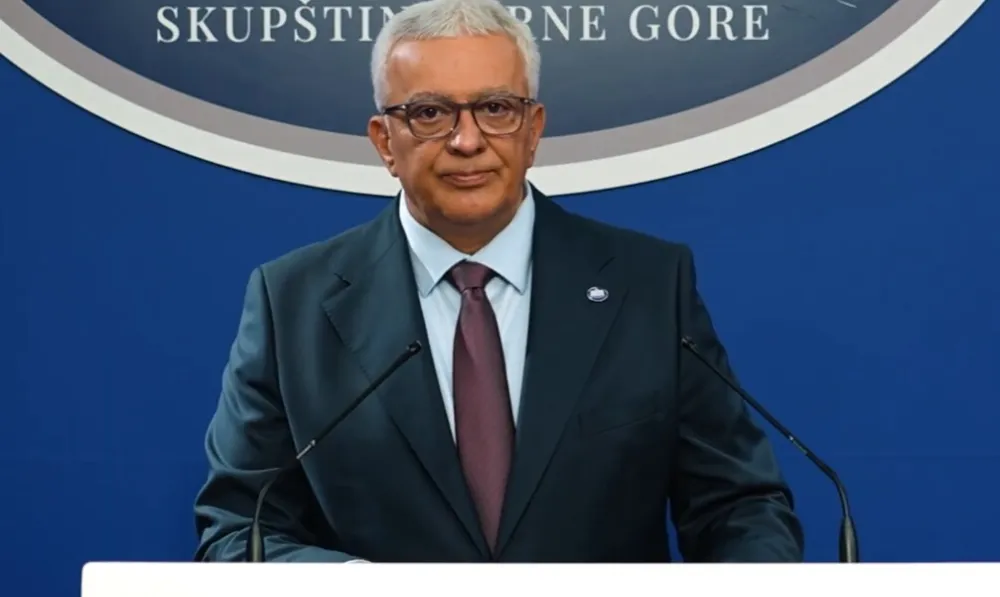 (VIDEO) Mandić: Zatražio sam hitno održavanje sjednice Savjeta za odbranu i bezbjednost