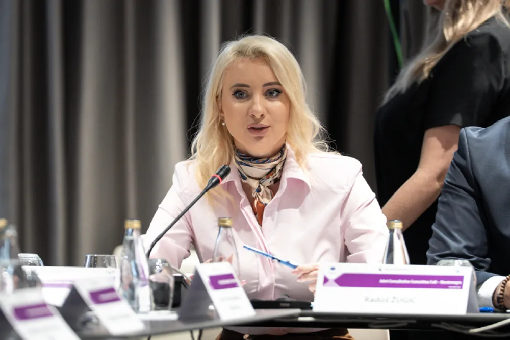 Gorčević: Poslanici izglasali značajan broj zakona sa plavom zastavicom &ndash; su&scaron;tinski važnih za proces pristupanja