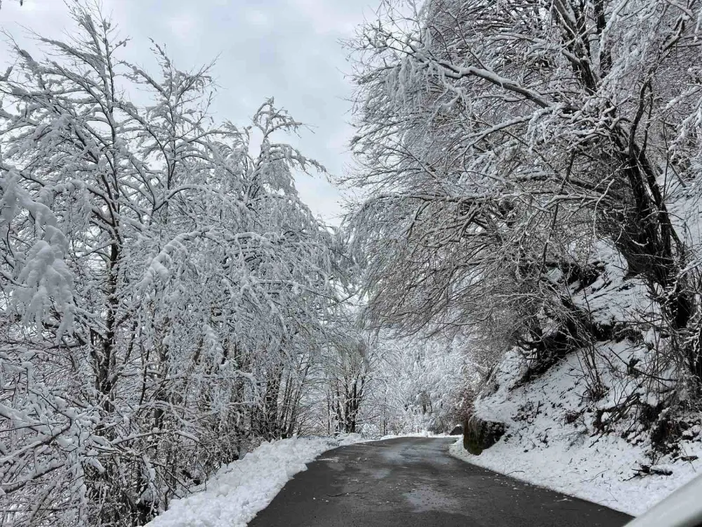 Mokri kolovozi, smanjena vidljivost, mjestimično poledica