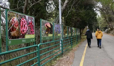 Izložba životinjskog svijeta najveće gradske &scaron;ume: Gorica na 18 panoa​