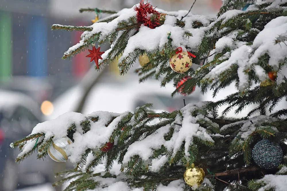 (FOTO) Sniježna čarolija kroz objektiv fotoreportera Dana