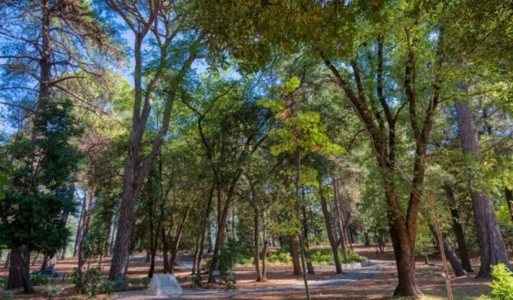 Zbog nevremena zatvoren gradski park u Tivtu