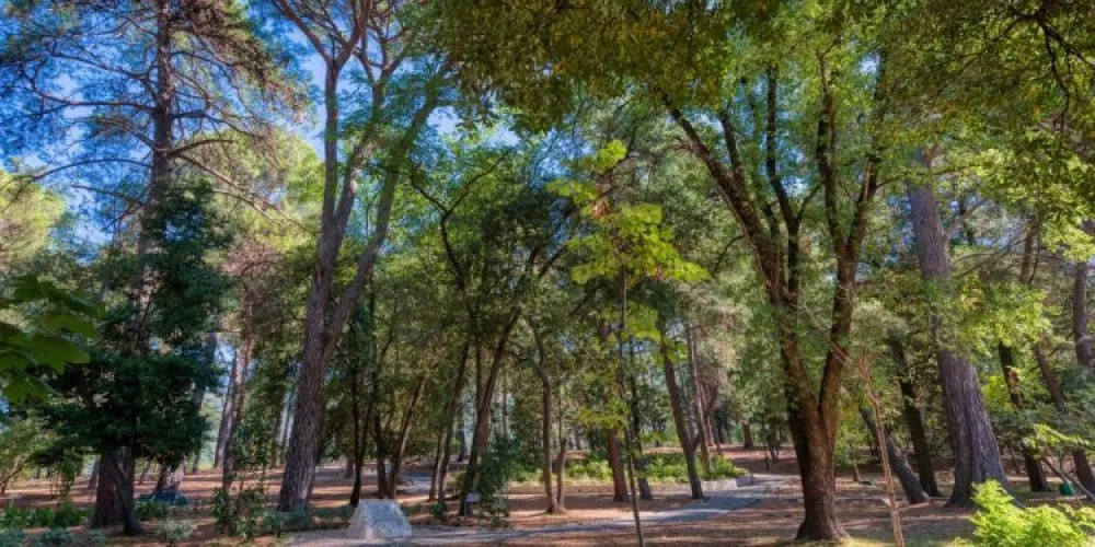 Zbog nevremena zatvoren gradski park u Tivtu