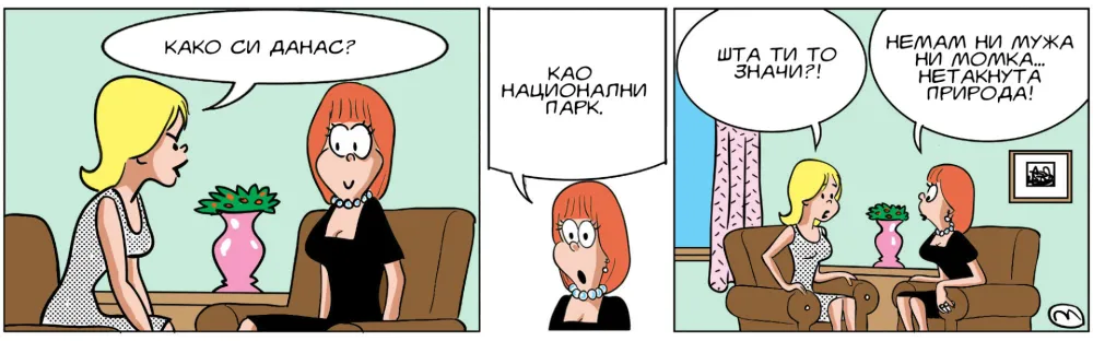 Mirko Zulić strip dana