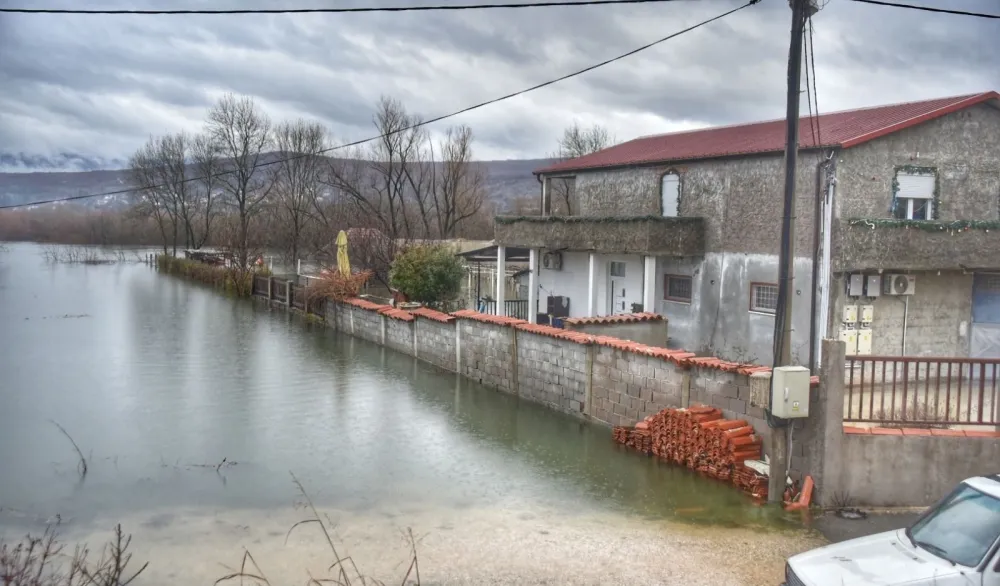 Matica u&scaron;la u kuću