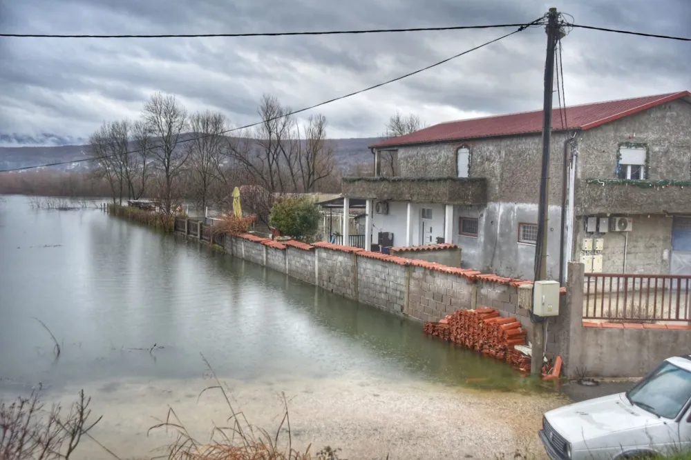 Matica u&scaron;la u kuću