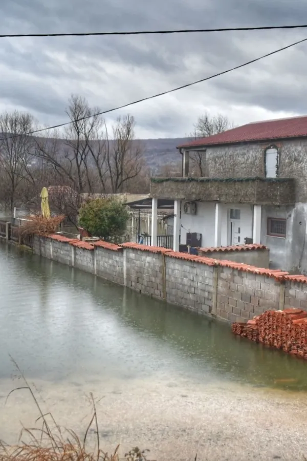 Matica u&scaron;la u kuću