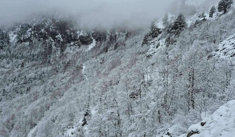 (VIDEO) Talas zahlađenja stigao u Crnu Goru: Na sjeveru sjutra ledeni dan