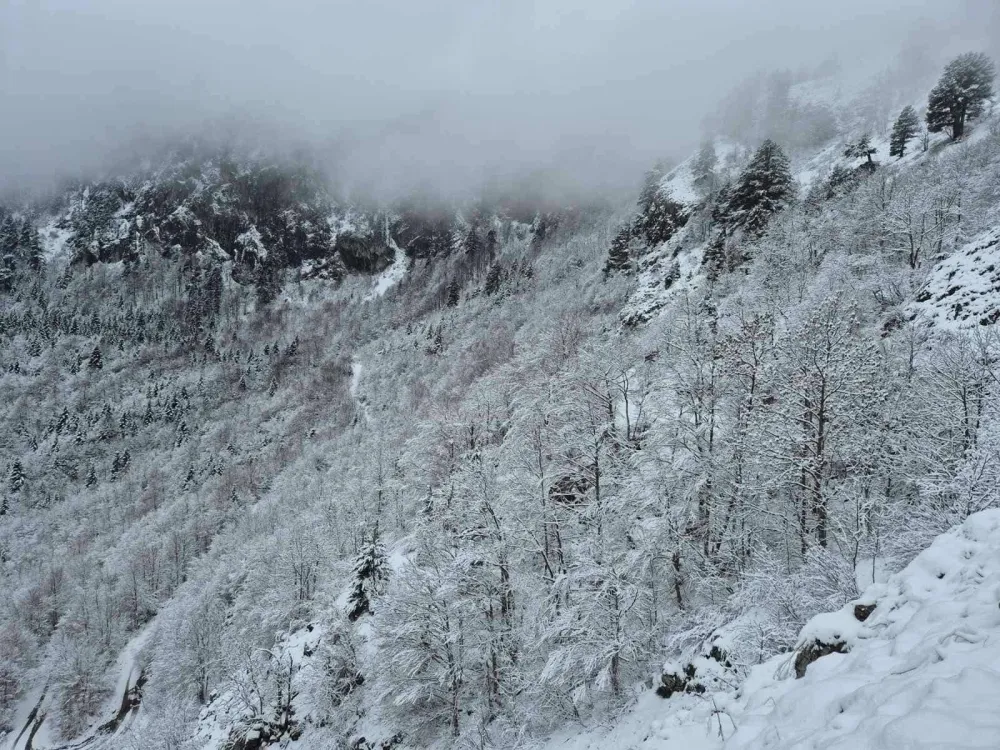(VIDEO) Talas zahlađenja stigao u Crnu Goru: Na sjeveru sjutra ledeni dan