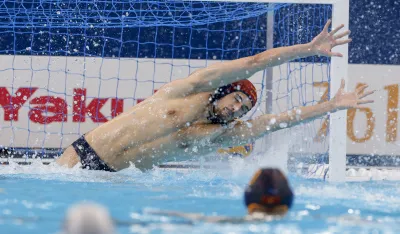 Петар Тешановић