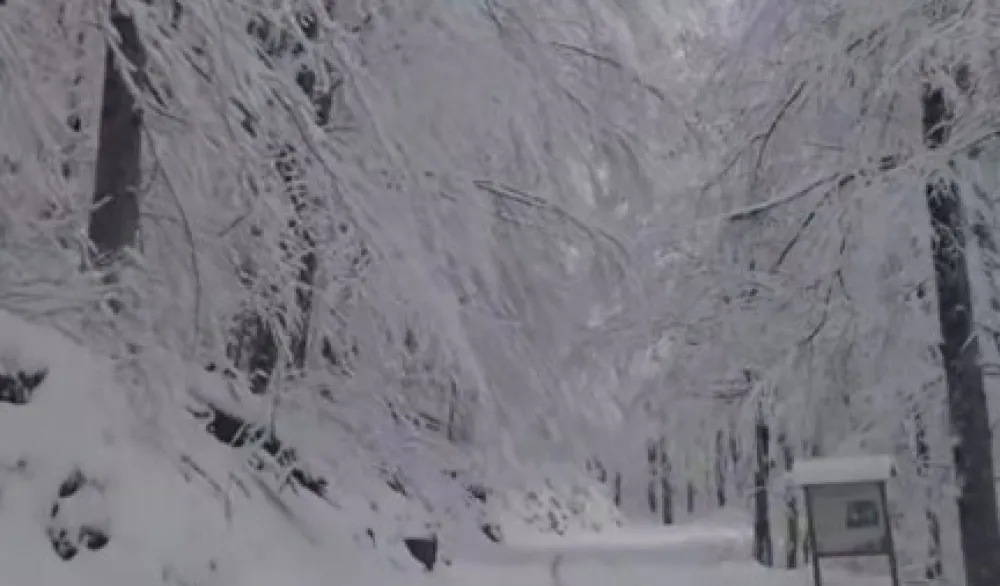 Nacionalni park Biogradska gora