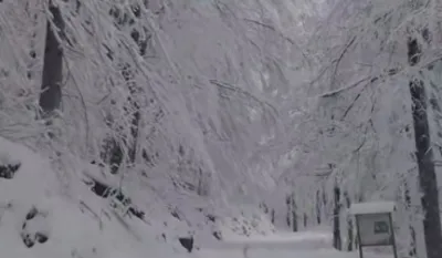 Nacionalni park Biogradska gora