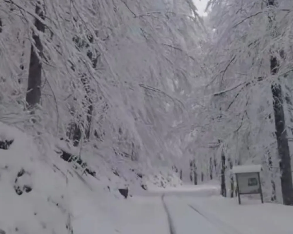 Nacionalni park Biogradska gora