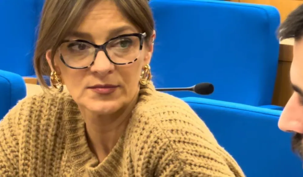 Du&scaron;ka &Scaron;ljivančanin 