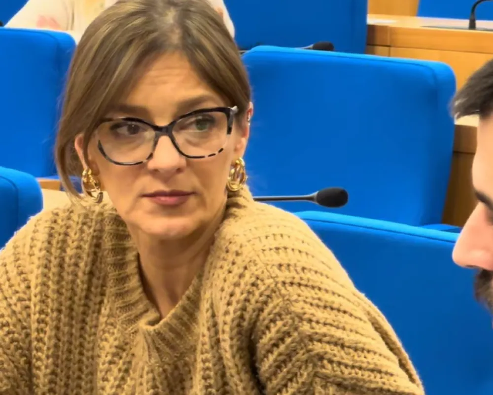 Du&scaron;ka &Scaron;ljivančanin 