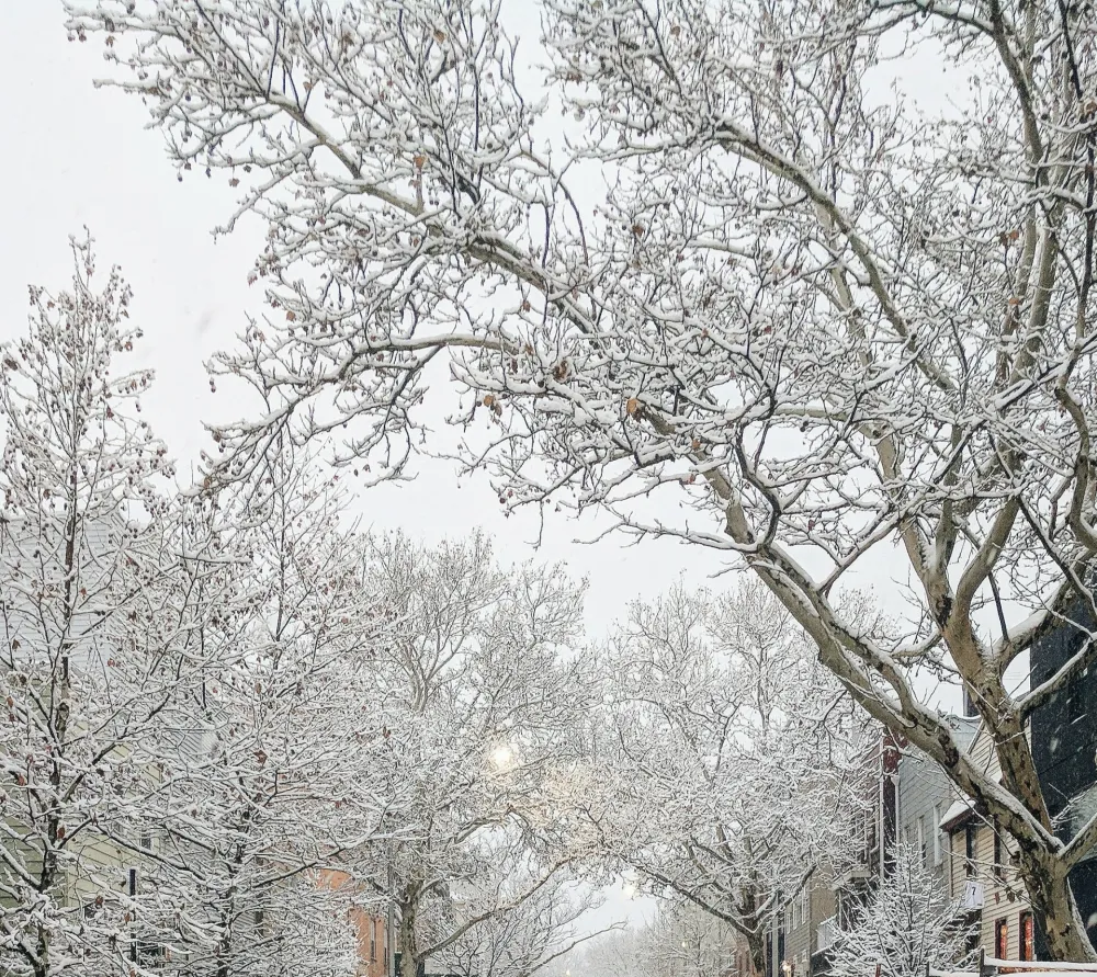 Djelovi Srbije zbog snijega &scaron;est dana bez struje