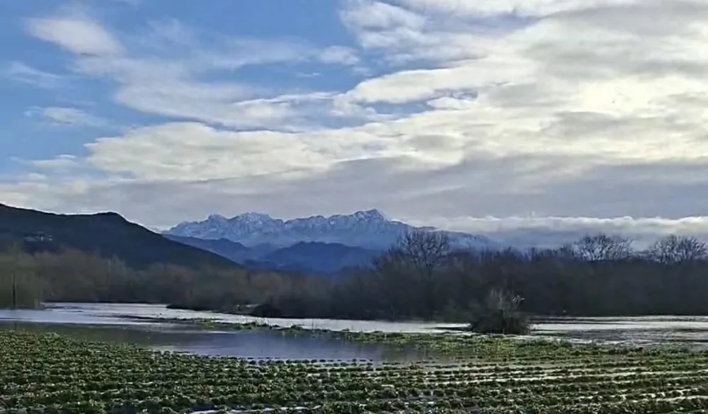 Skadarsko jezero plavi imanja: U Podhumu zasadi jagoda pod vodom