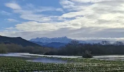 Skadarsko jezero plavi imanja: U Podhumu zasadi jagoda pod vodom