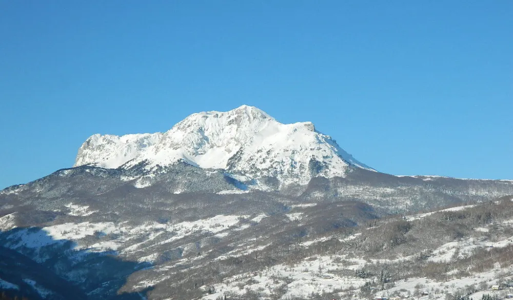 Od naknada za &scaron;ume u Andrijevici planiran prihod od svega 50.000 eura