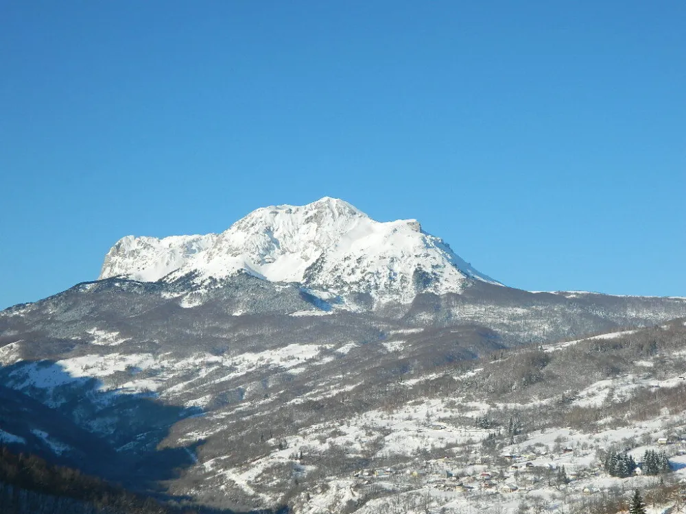 Od naknada za &scaron;ume u Andrijevici planiran prihod od svega 50.000 eura