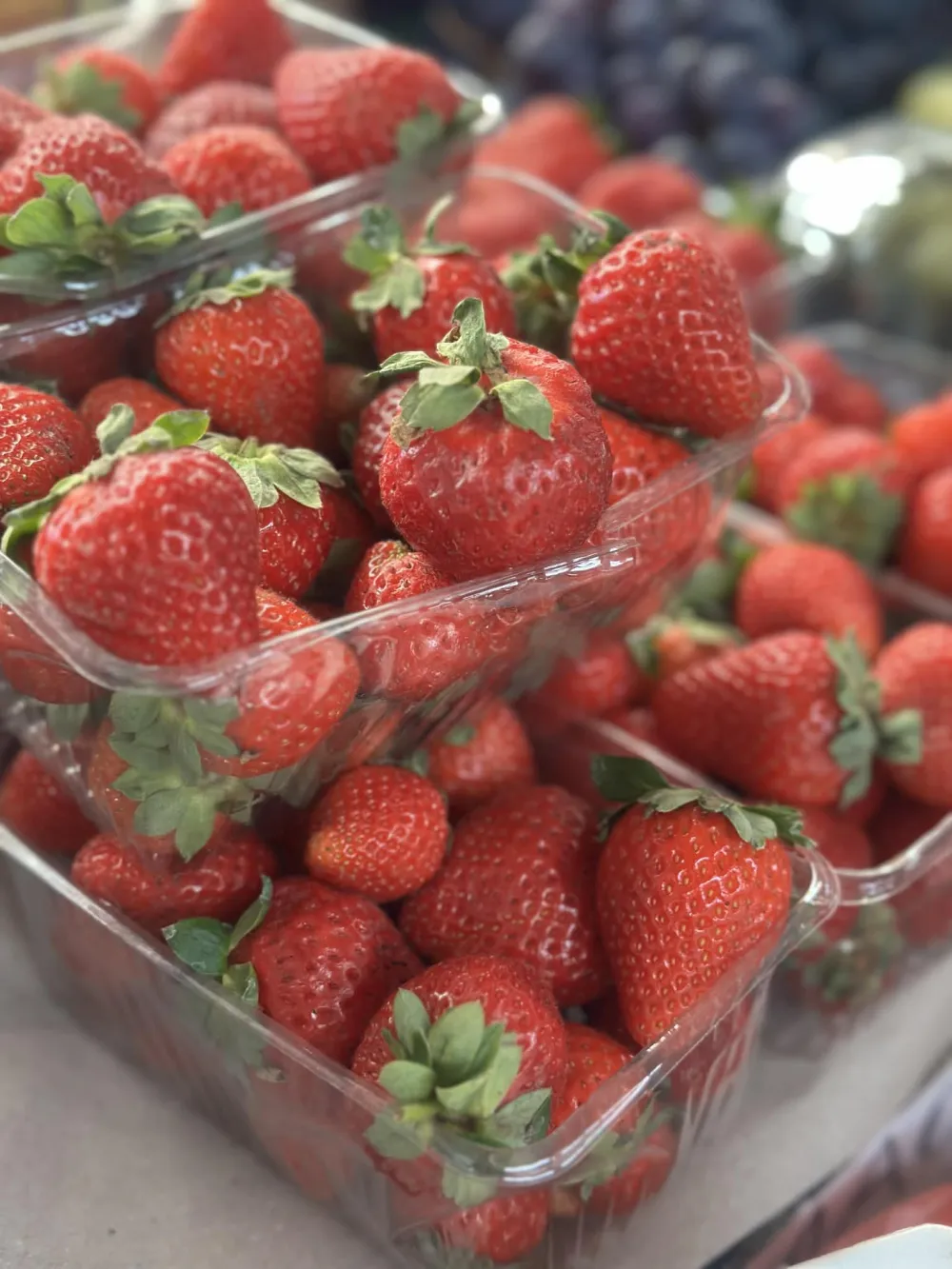 Kilogram grčkih jagoda 15 eura