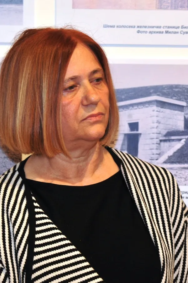 Todorović: Priređujemo veliku izložbu radova Ratka Vulanovića