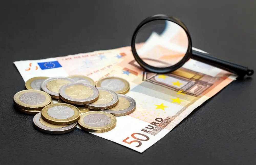 Krivična prijava protiv pravnog lica i direktora zbog utaje poreza od skoro 65.000 eura