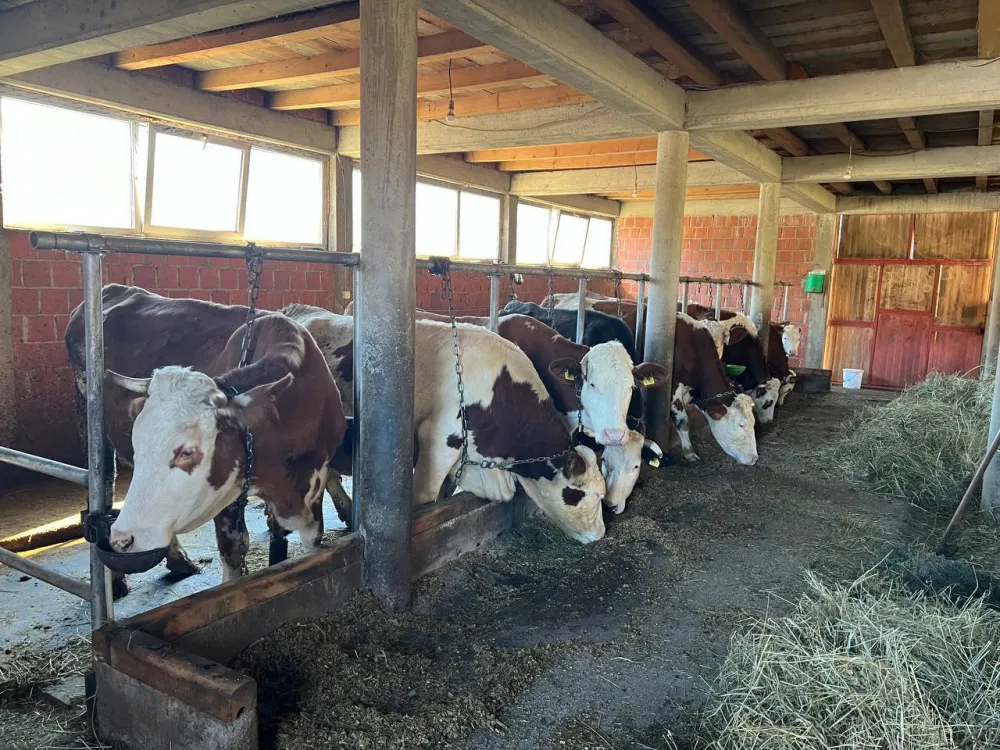 Gdje su mljekare iz strate&scaron;kih dokumenata